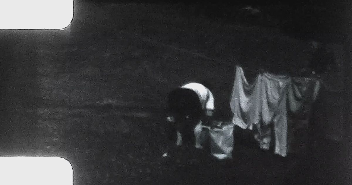 Reel short sex Short Reel #31966146