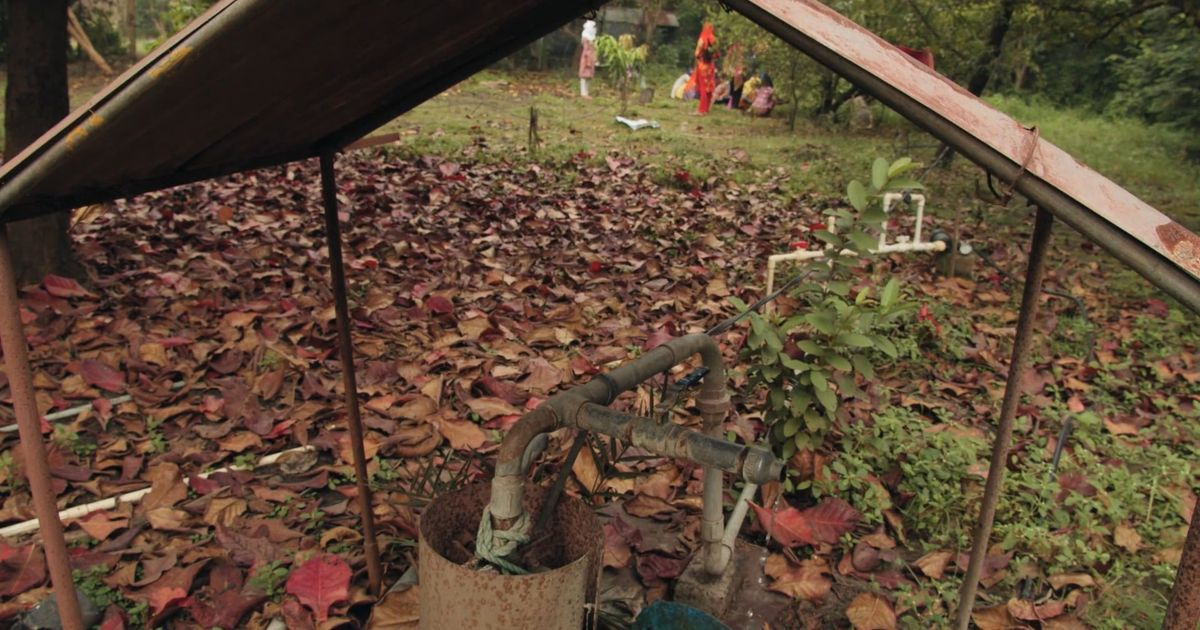 Dirty Little Secrets: What We Hide from the World